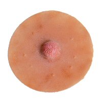 Medium-Colored Nipples, Size: 2.25" Diameter